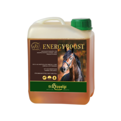 WES Energy Boost