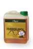 HippoLinol