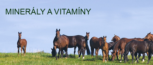 Minerály a vitamíny pro koně
