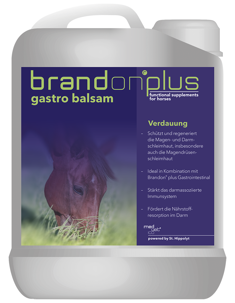 Brandon® plus gastro balsam