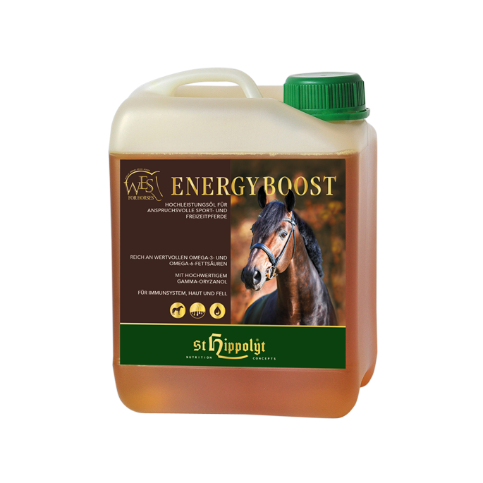 WES Energy Boost